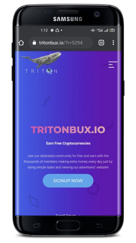 tritonbux.io |Make Money Online Without investment