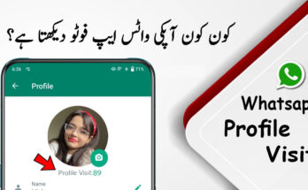 How to Check Who Viewed Your WhatsApp Profile?