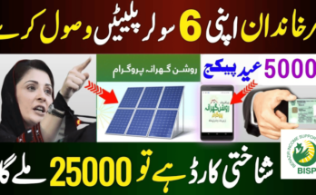 Complete guide of CM Punjab Solar Panel Scheme